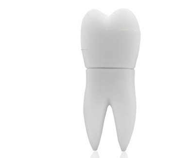 USB-накопитель 16 ГБ WHITETOTH DENTIST PRO WYS24HPL