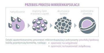 Probiotyk LACTOBACILLUS RHAMNOSUS GG 5 mld Aliness