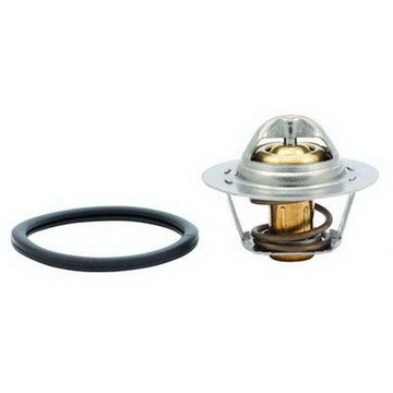 Behr original thermostat kangoo laguna megane 1.4 1.6 2.0, фото