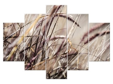 Image buszujacy в grass - nina matthews 150x105, фото