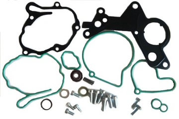 Repair kit pump vacuum produkcji bow audi vw seat skoda 1.9 2.0 tdi, фото