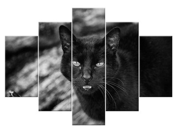 Image triptych black kot - feans 150x105 1558a_ 5h, фото