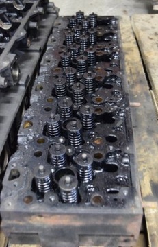 Man tgl tgm head motor d0836 250 290 km euro5, фото