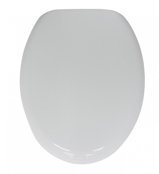 Plank toilet slowly falling off boston з polypropylene white, фото