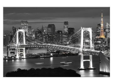 Image bridge colorful в tokyo 60x40 landscape city, фото