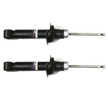 Shock absorbers ass complete nissan primera p11 96-, фото