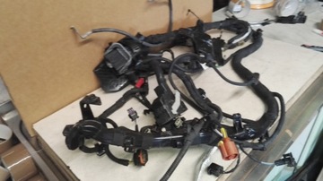 Ford fiesta mk7 1.0 ecoboost wiring motor, фото