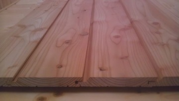 Plank lift przesuniete leaf larch, фото