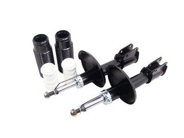 Shock absorbers x2 front+bumpers+protection renault twingo 2001-, фото