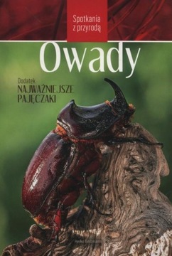 Spotkania z przyrodą. Owady