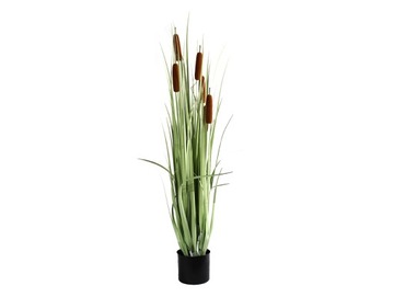 Sztuczne kwiaty TRAWA CATTAIL PAŁKA 120 CM-II