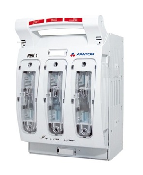 Rozłącznik RBK-1 250A tablicowy zaciski mostkowe S 50-185mm2