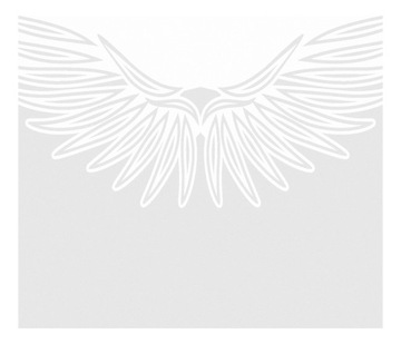 Folia matująca na okno. Skrzydła 50 cm