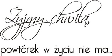 Napis na ścianę, naklejka - Żyjmy chwilą - 96
