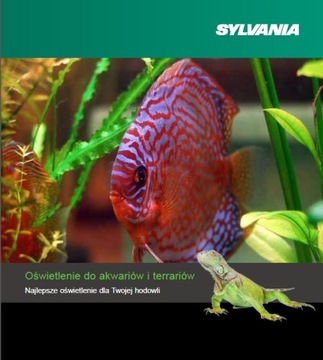 Люминесцентная лампа Sylvania GROLUX 24Вт T5 G5 55см 8500К
