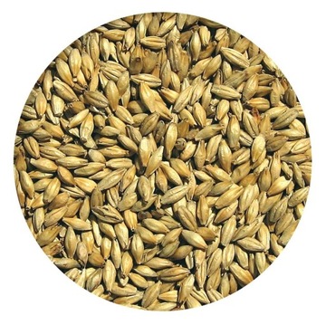 Słód jęczmienny PALE ALE ZERO VikingMalt 25kg Łódź