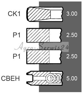 Поршневые кольца двигателя Deutz Fahr dx 0223307