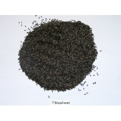 Черная канарейка 1кг, экзотика, попугаи, отличная цена.