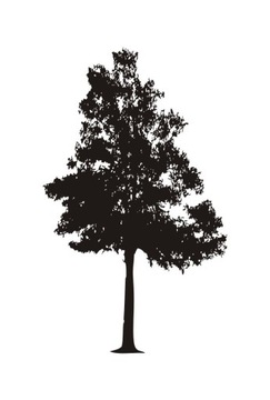 Naklejka na ścianę duże Drzewo 200 cm DRX-19