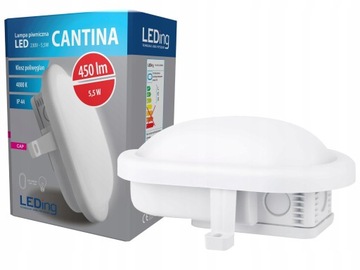 Lampa do piwnicy garażu kanału LED 5,5W CANTINA