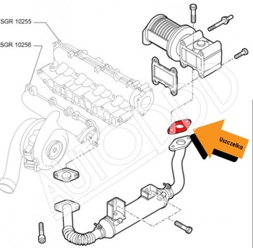 5 Прокладка EGR ALFA FIAT LANCIA OPEL 1.9 2.4 JTDM