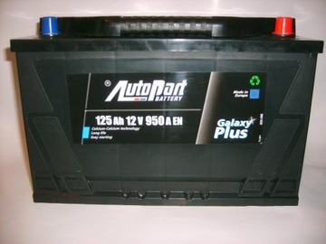 AKUMULATOR 125AH AUTOPART MIELEC 950EN 120 Ah 900A