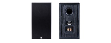 Wilson Raptor 1 — пара стереодинамиков Hi-Fi