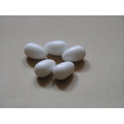 Пластиковые белые фундаментные яйца 5 штук, для попугаев