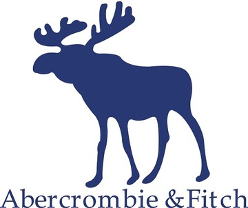 Футболка Abercrombie Hollister S Футболка с большим логотипом