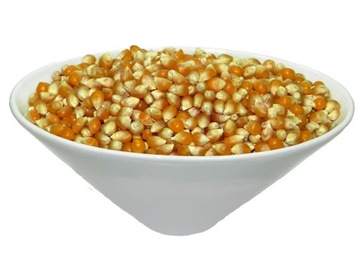 КУКУРУЗА ДЛЯ ПОПКОРНА 1кг ПЯТНИЧНЫЙ ПОПКОРН POP CORN СЕМЕНА КУКУРУЗЫ