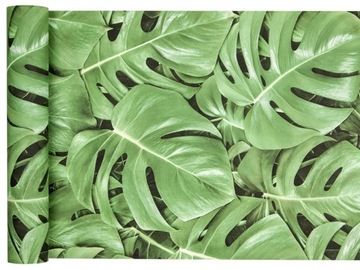 TAPETY designerskie tropikalne liście, monstera