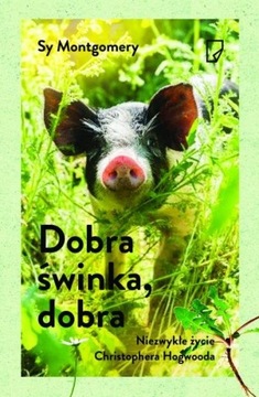 DOBRA SWINKA DOBRA SY MONTGOMERY NOWA