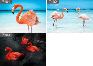 Plakat poster PLAŻA piasek morze 90x60 max wybór