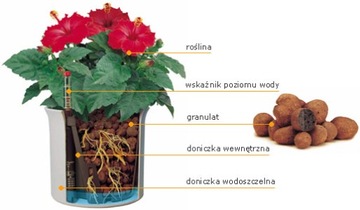 фото ориг. №2, Hydroponics liner 5/ 5 basket to cultivations