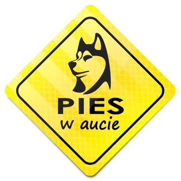 STICKER CHROŃ PUPILA NAKLEJKA PIES W AUCIE HIT