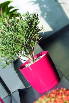 фото ориг. №4, Round flowerpot з stand 18xh17cm casing duop
