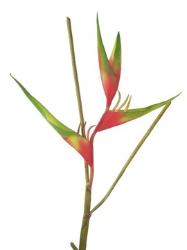 HELICONIA HELIKONIA LUSUSOWE SZTUCZNE KWIATY