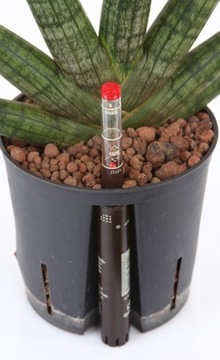 фото ориг. №6, Hydroponics indicator h7 hobby