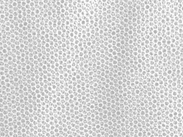 Москитная сетка MFH - большая белая (0,63x2,5x12,5 м) (31853L)