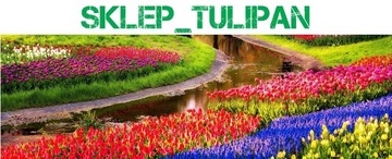 CELOZJA KOLOROWE PIÓROPUSZE SKLEP_TULIPAN.