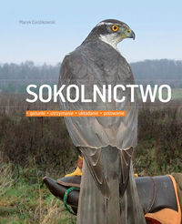 Sokolnictwo SOKOŁY polowania łowiectwo