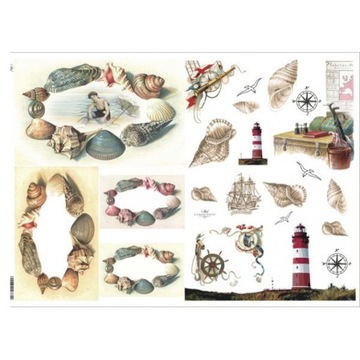 Papier do decoupage KLASYCZNY A4 D0437M - muszle