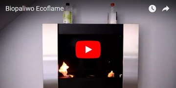 Биотопливо второго поколения EcoFlame 12x 1л. Биокамин