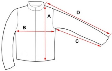 Мужской свитер Pierre Cardin, вставка с SHIRT, здесь: S
