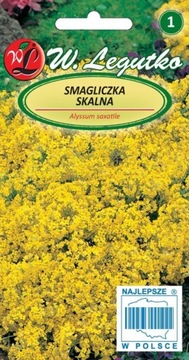 Smagliczka skalna żółta kwiaty 0,5g. nasiona