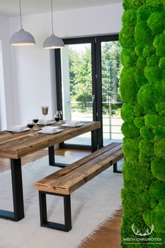 Зеленый подушкообразный мох ЭФФЕКТИВЕН на площади 25х25см.