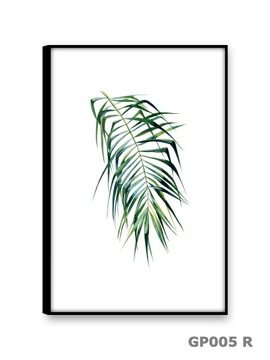 LIŚĆ PALMY Obrazy na płótnie 30x45 Obraz rośliny