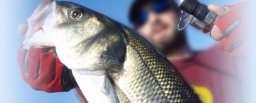 5 X DROP SHAD SWALLOW 7,5 см EXO SUPER LURE 2