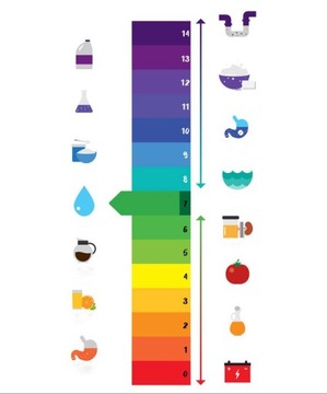 CHEMSPEC Enz-All 2.7! ЗП2