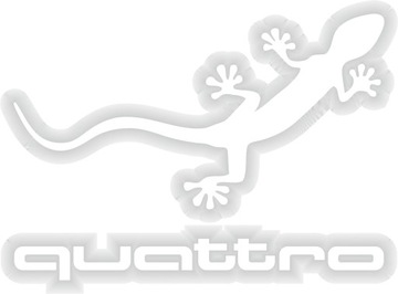 VAR AUDI quattro - naklejka 16,4 x 11,8 biała